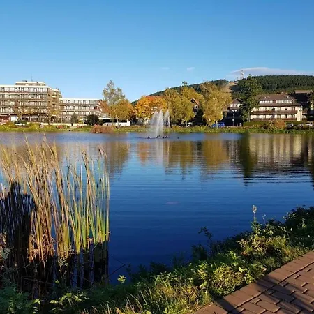 Apartment Cosy In Harz Goslar